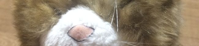 ivanhoe112's header image