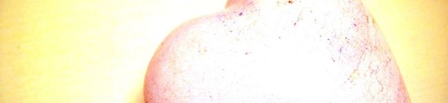 chachakn's header image