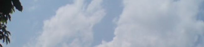 おとo's header image