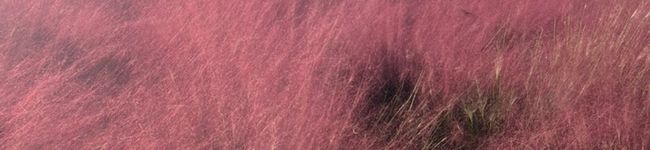 いーじーぐらむ's header image