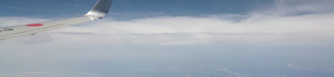 woolbunny's header image