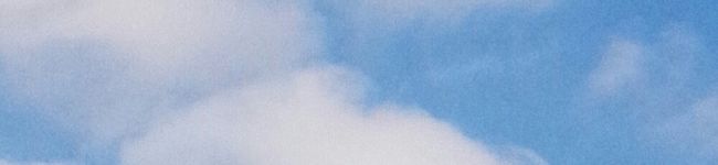 人生の初心者's header image