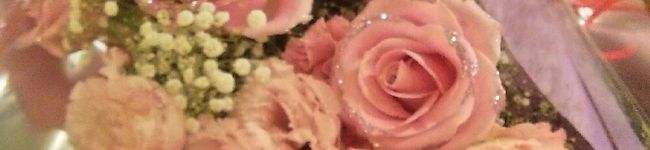 voyager☆'s header image