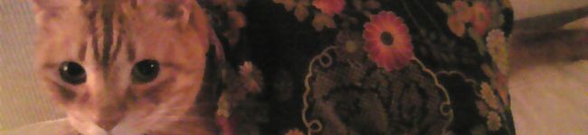 choricco's header image