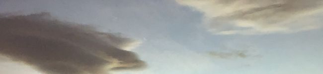 料理ヘタ筋トレ中ママ's header image