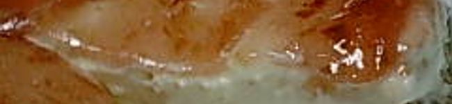 eri89's header image