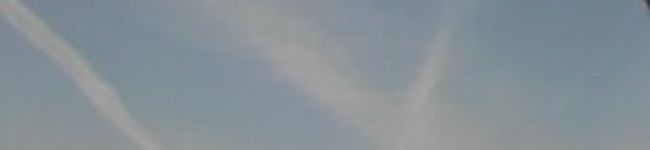 たいぷんママ's header image