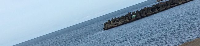 ☆ままにゃん☆'s header image