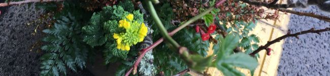 0730tmk's header image