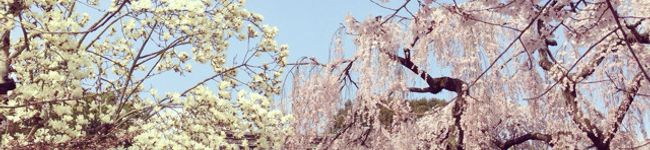 kana01♡'s header image