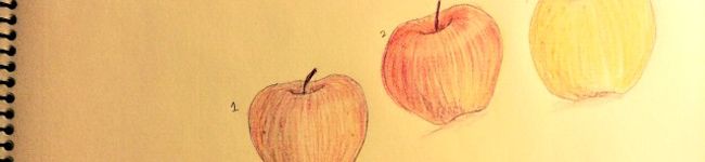 shsh06✩'s header image