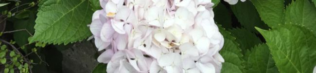 ayahinatan's header image