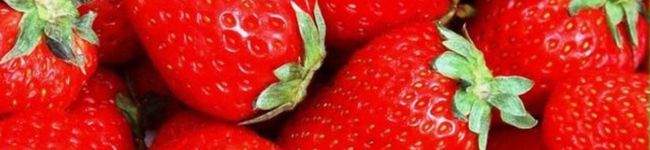 管理栄養士マイマイ's header image