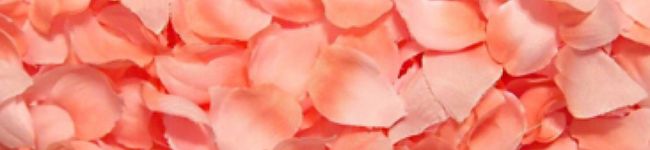 ロコ♫'s header image
