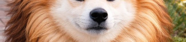 ❤️かわだん❤️'s header image