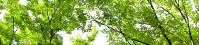 HaHanasan's header image