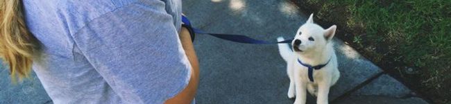 共働きズボラ新米主婦's header image