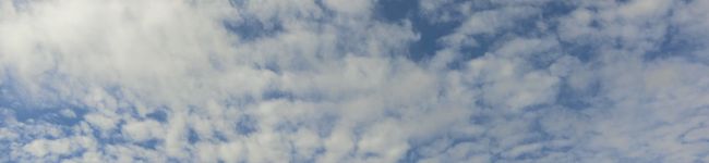 とびうお。's header image