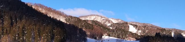 ひまわり６号's header image