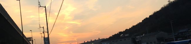 temple79o0's header image