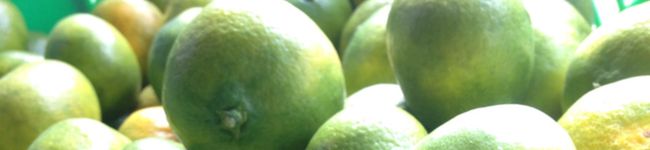 emmysfarm's header image