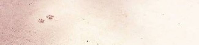 hoho！'s header image