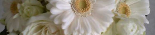 akimata's header image