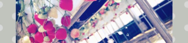 高たん's header image