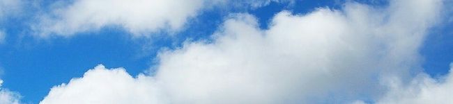 クックY08S17☆'s header image