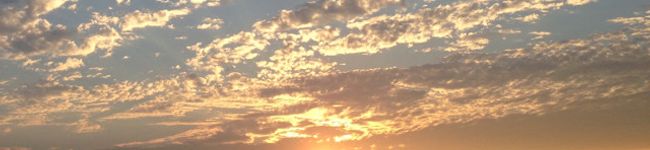 4nodick's header image