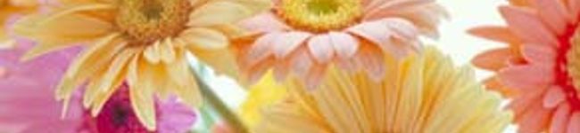 みーにゃ♡'s header image