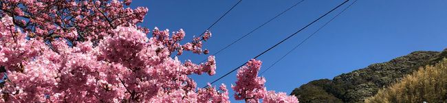 OMOCHI0407's header image
