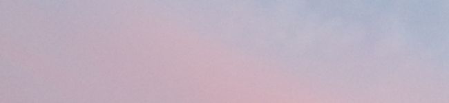 coco＆coron's header image