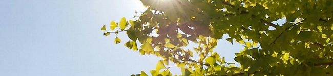 manya¨'s header image