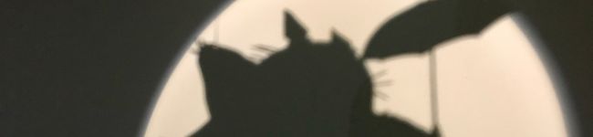 Luna木's header image