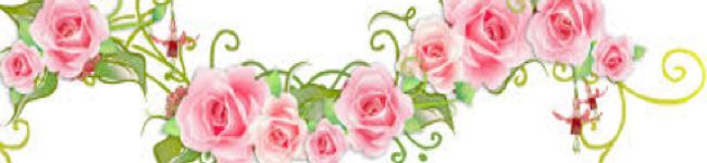 PyOnCHAn＊°'s header image