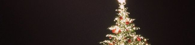 sachie_ko's header image