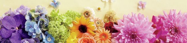 DANGO23☆'s header image