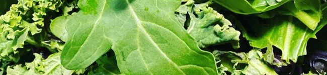 今日も食べ過ぎた's header image