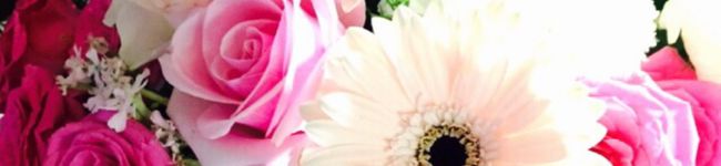 RIO♡♡'s header image