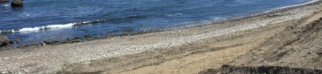 ayumama22's header image
