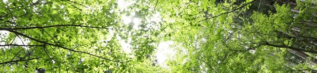 QPドライバー's header image