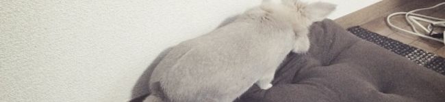 xMUZIKx's header image