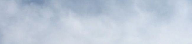 ya_co_co's header image