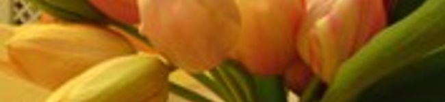 hiko-ki's header image
