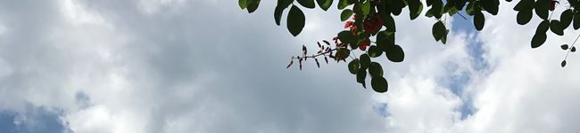 hichaco＊'s header image
