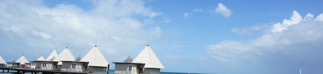 ogua's header image