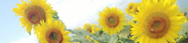 はるるるな☆'s header image