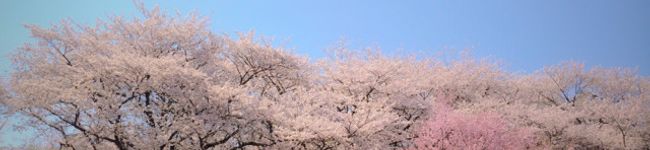 タマキ58's header image