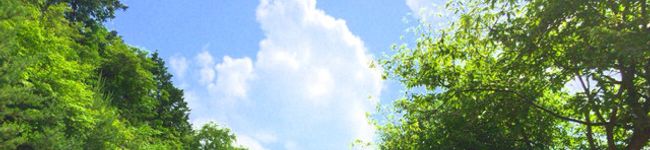ゆうにゃんちゃ's header image